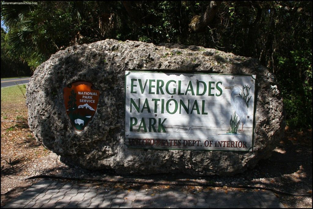 Everglades National Park Florida Estados Unidos