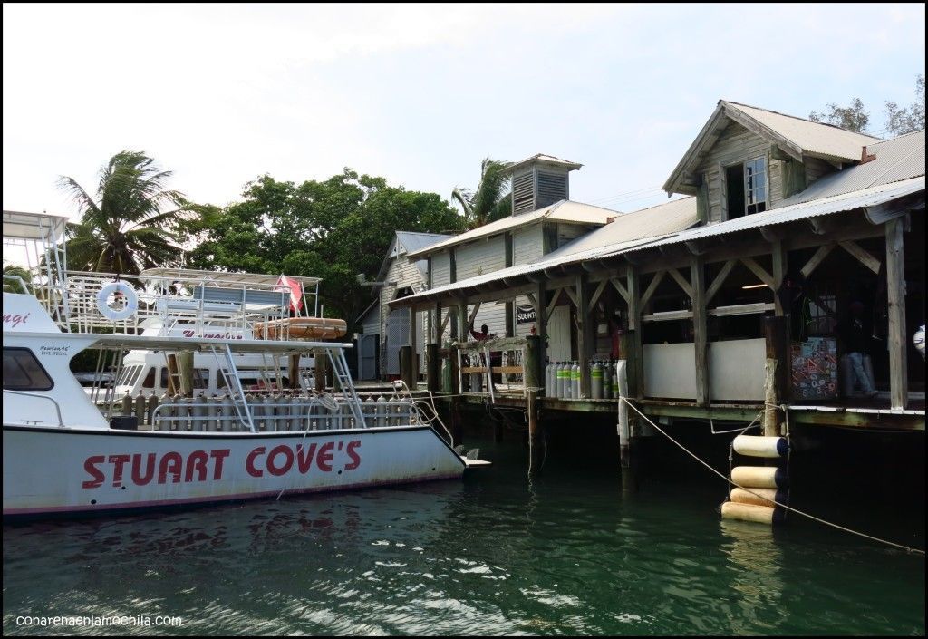 Stuart Cove's New Providence Bahamas
