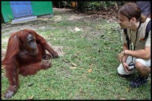 Camp Leakey Borneo