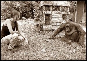 Camp Leakey Borneo