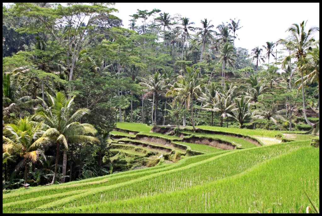 Gunung Kawi Bali Indonesia