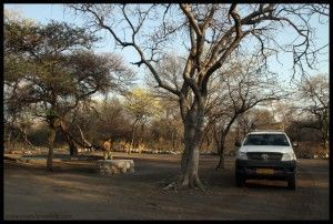 Onguma camping Etosha Namibia