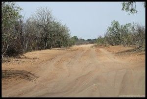 Camino Chobe Riverfront