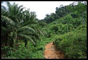 Khao Sok Tailandia