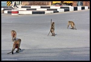 Lopburi Tailandia