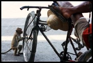 Lopburi Tailandia