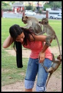 Lopburi Tailandia