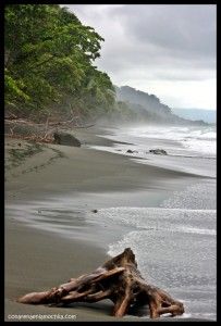 Corcovado Costa Rica