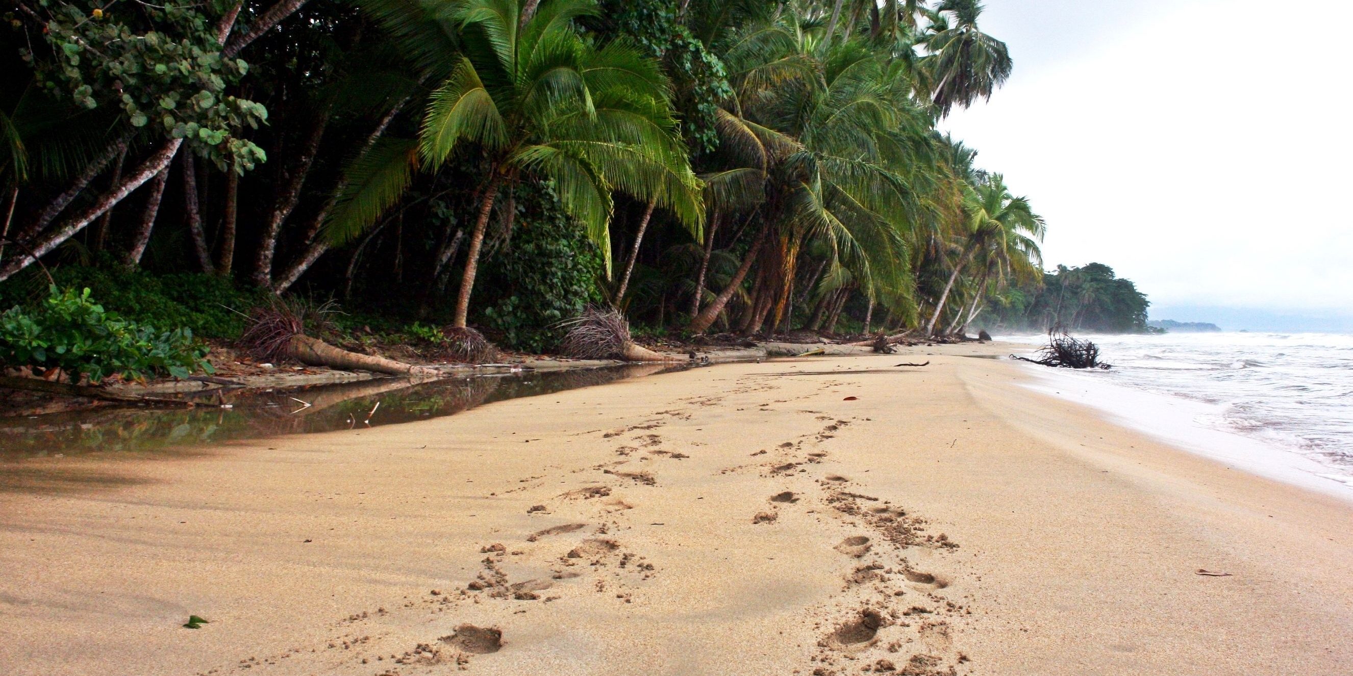 Corcovado Costa Rica