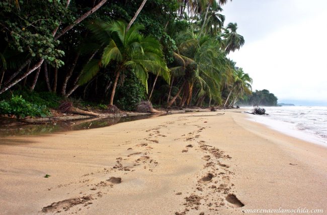 Corcovado Costa Rica