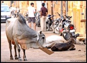 Jaisalmer India