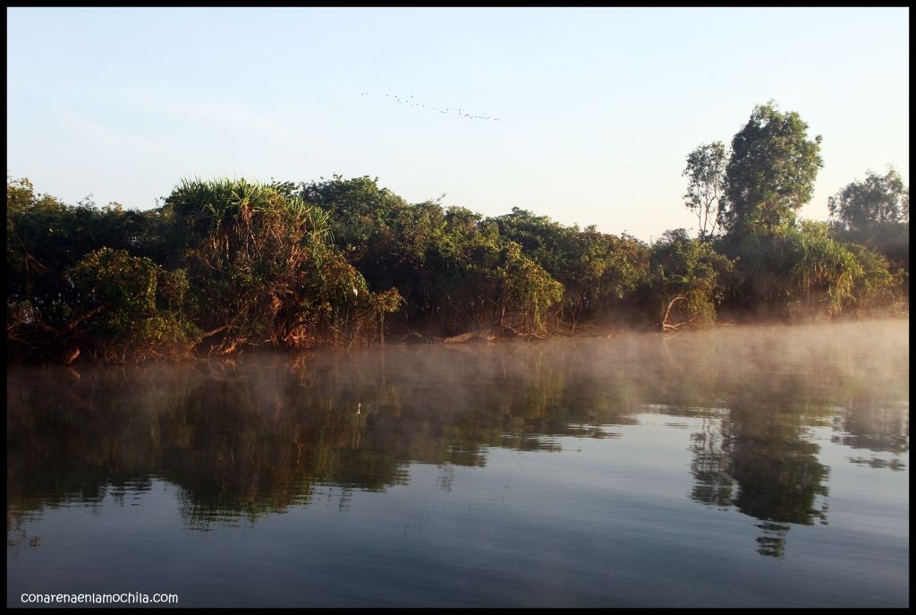 Yellow Waters Kakadu - Australia