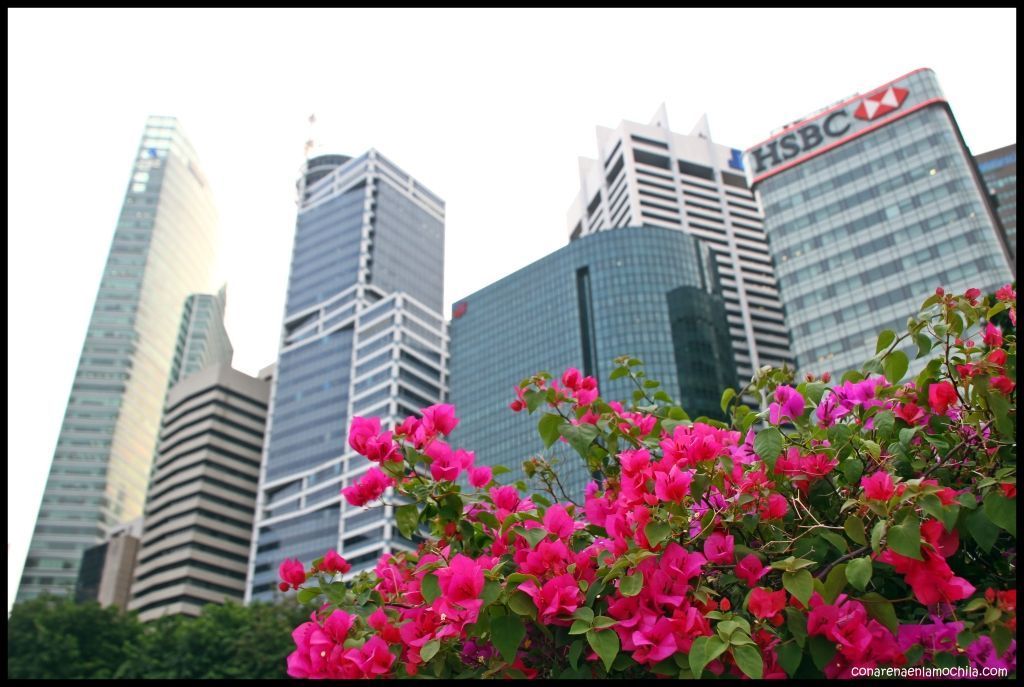 Downtown - Singapur