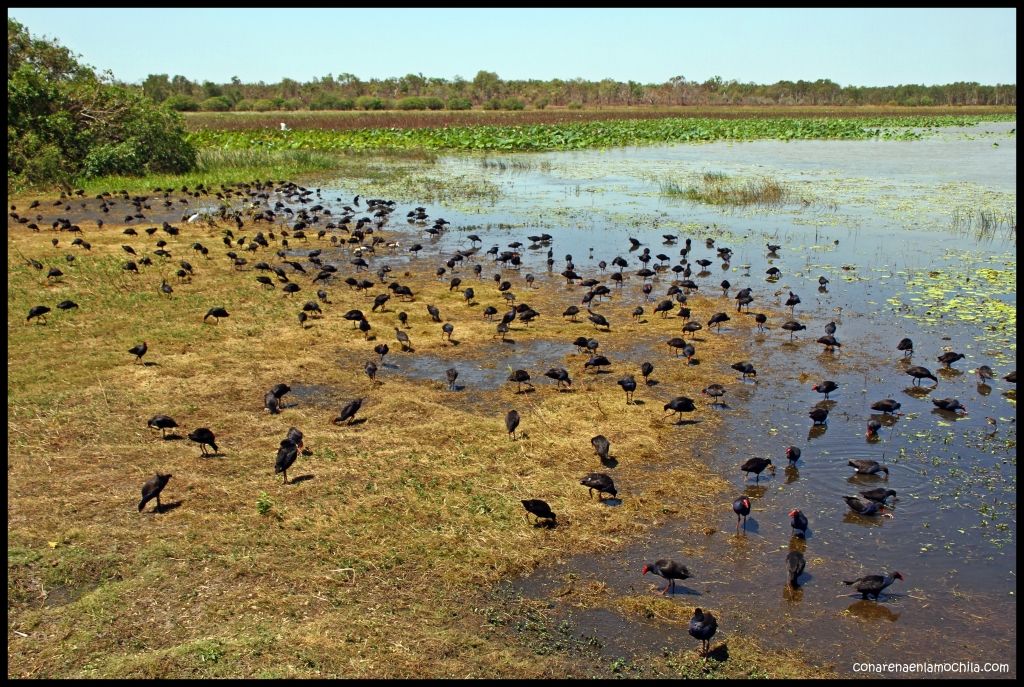 Parque Nacional Kakadu - Australia