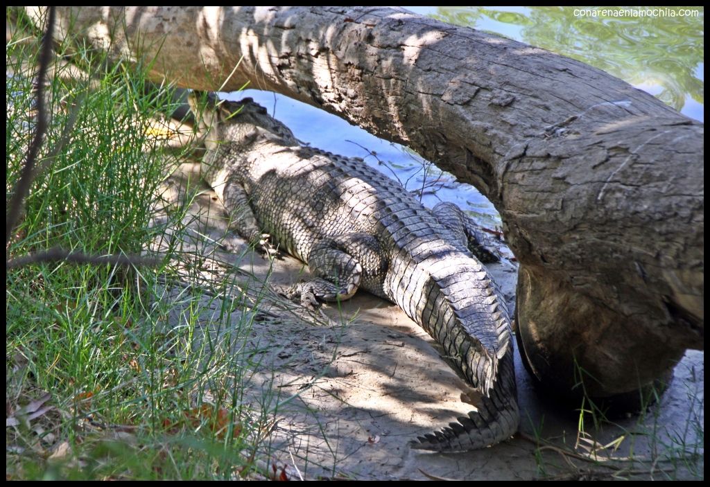 East Alligator River Kakadu - Australia