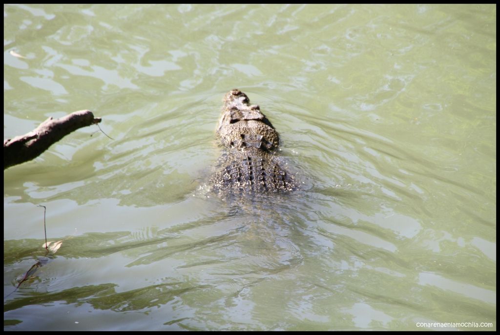 East Alligator River Kakadu - Australia