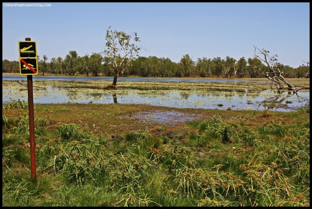 Sandy Billabong Kakadu - Australia