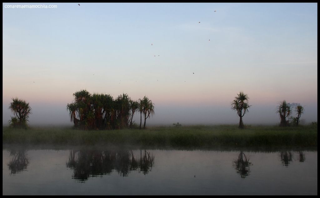 Yellow Waters Kakadu - Australia