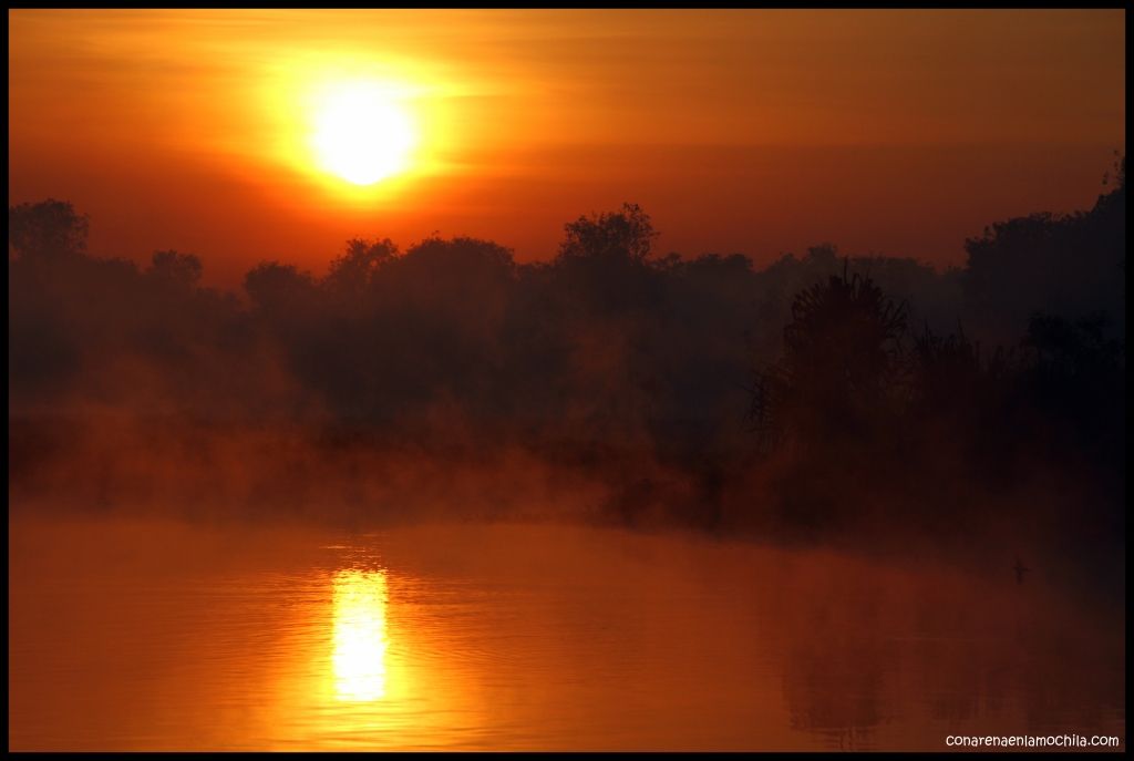 Yellow Waters Kakadu - Australia