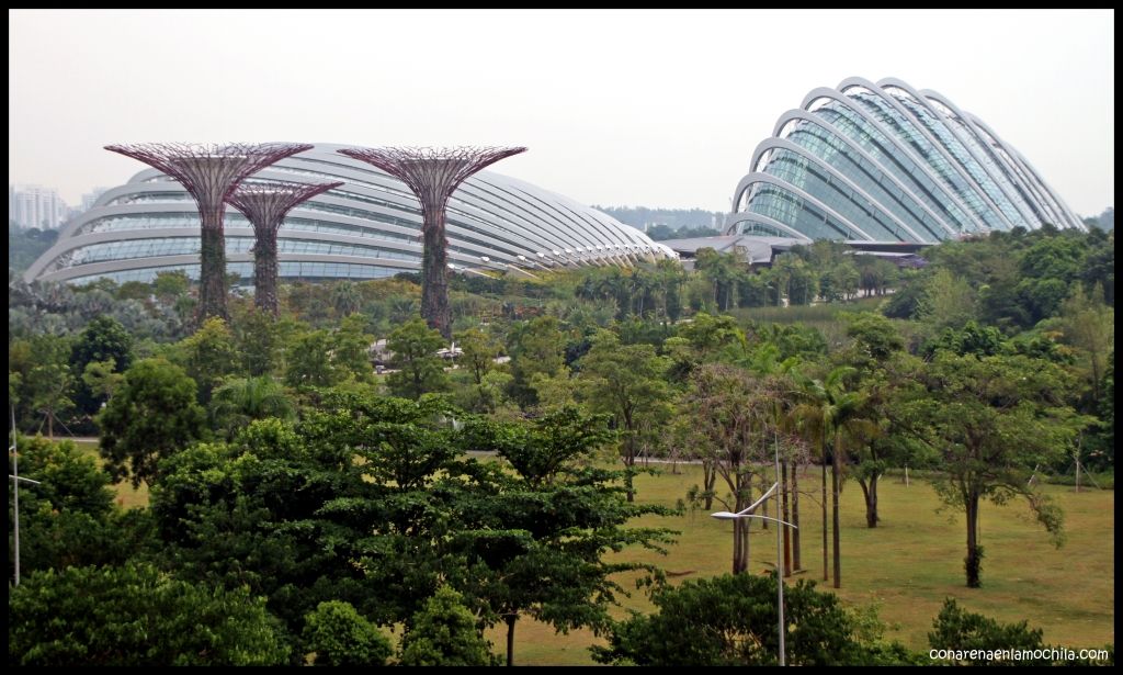 Gardens by the Bay - Singapur