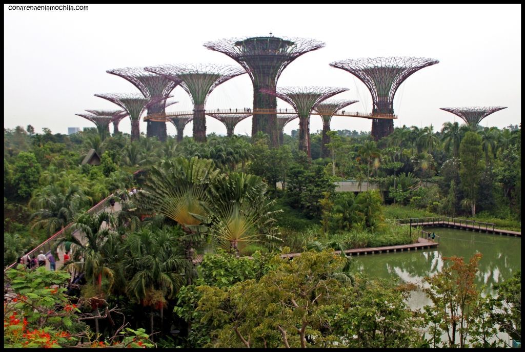 Gardens by the Bay - Singapur