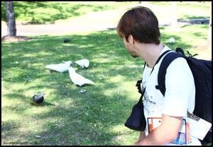 Royal Botanic Gardens Sidney Australia