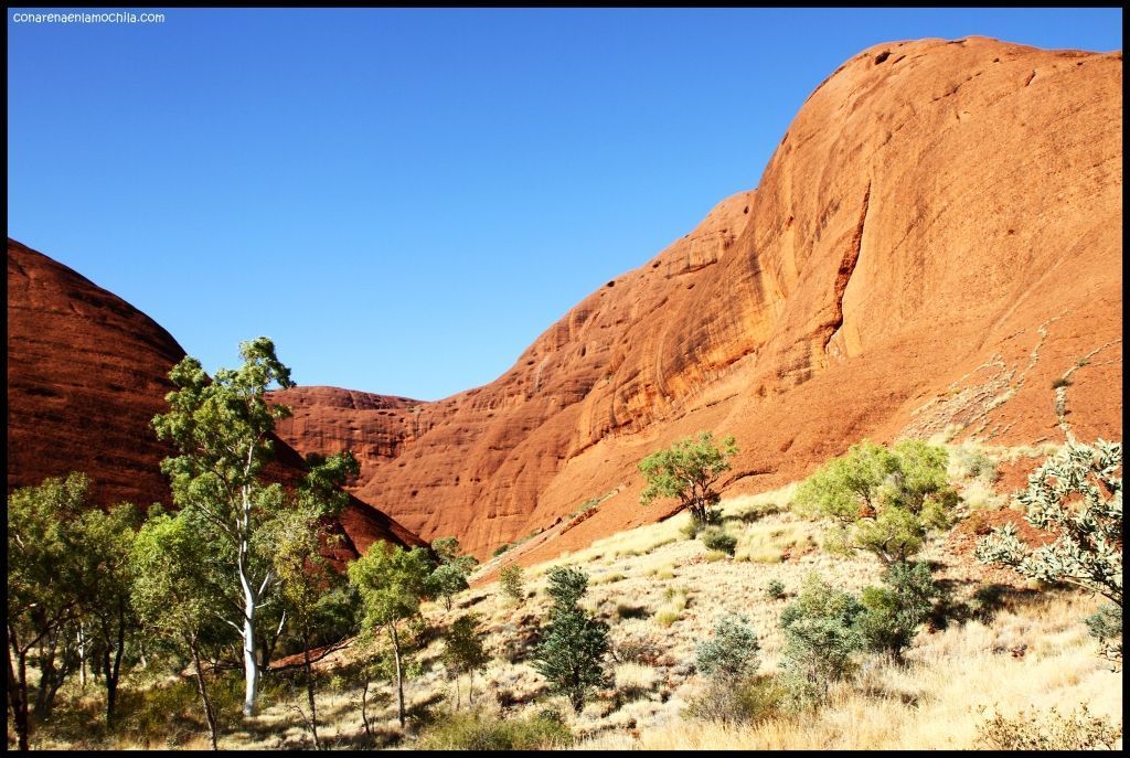 Olgas Kata Tjuta - Australia