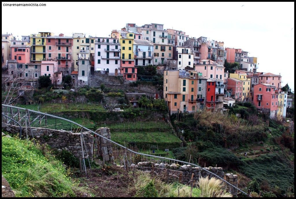 Corniglia Cinque Terre Liguria Italia