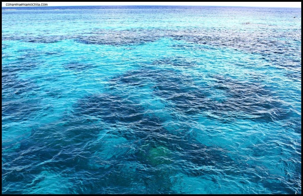 Great Barrier Reef Cairns Australia