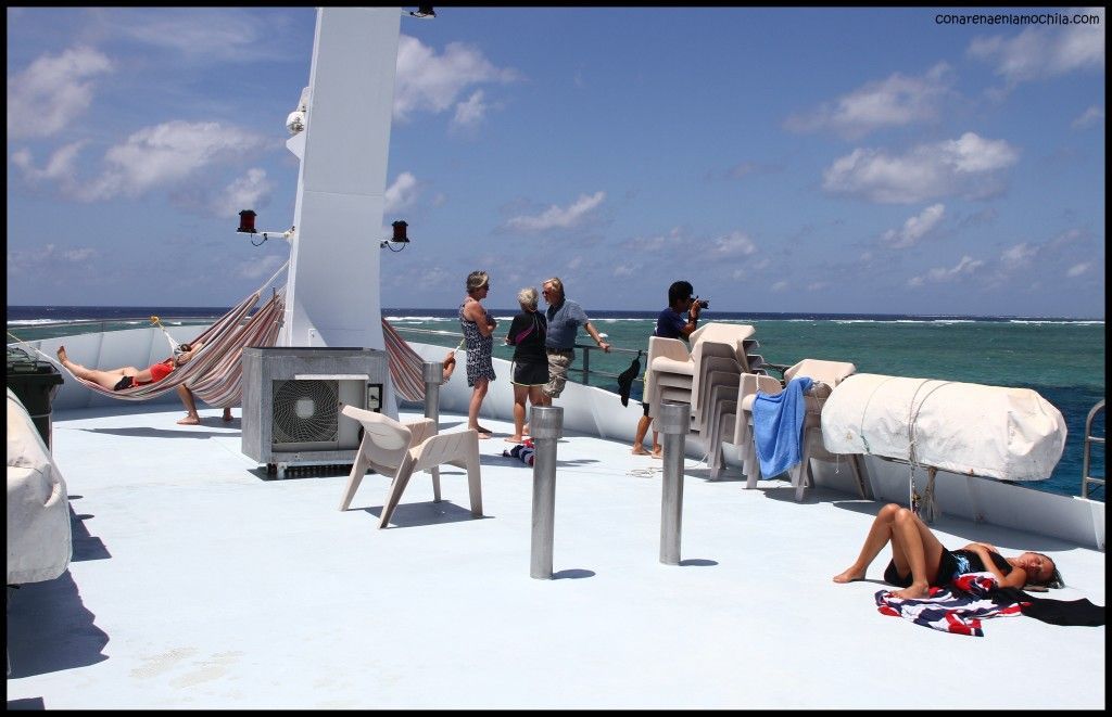 Taka Liveaboard Great Barrier Reef Cairns Australia