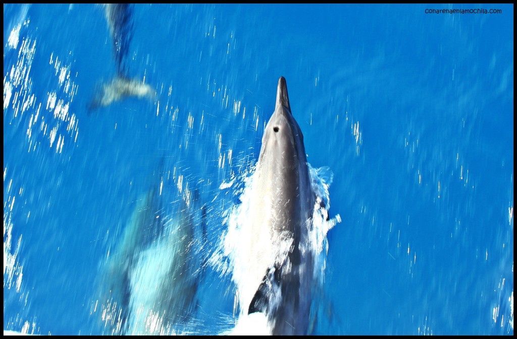 Taka Liveaboard Great Barrier Reef Cairns Australia