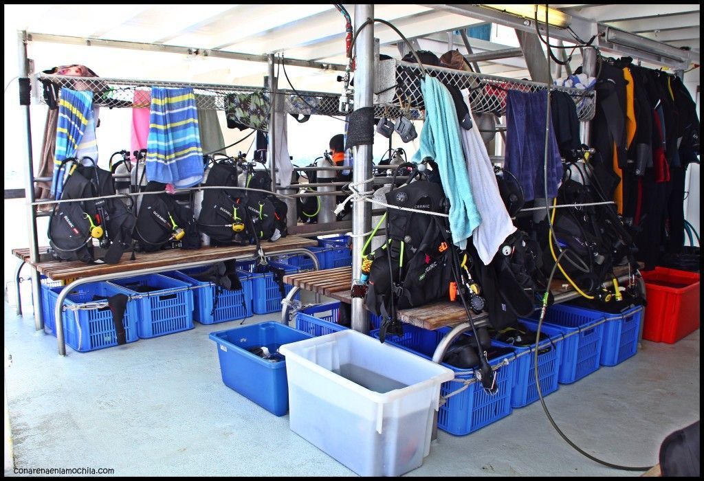 Taka Liveaboard Great Barrier Reef Cairns Australia