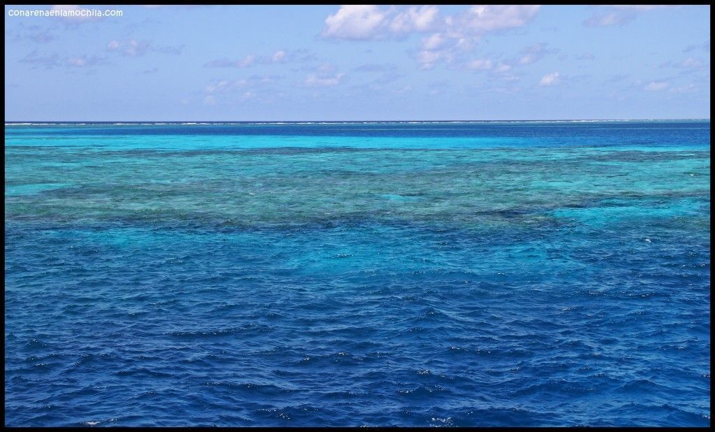 Great Barrier Reef Cairns Australia