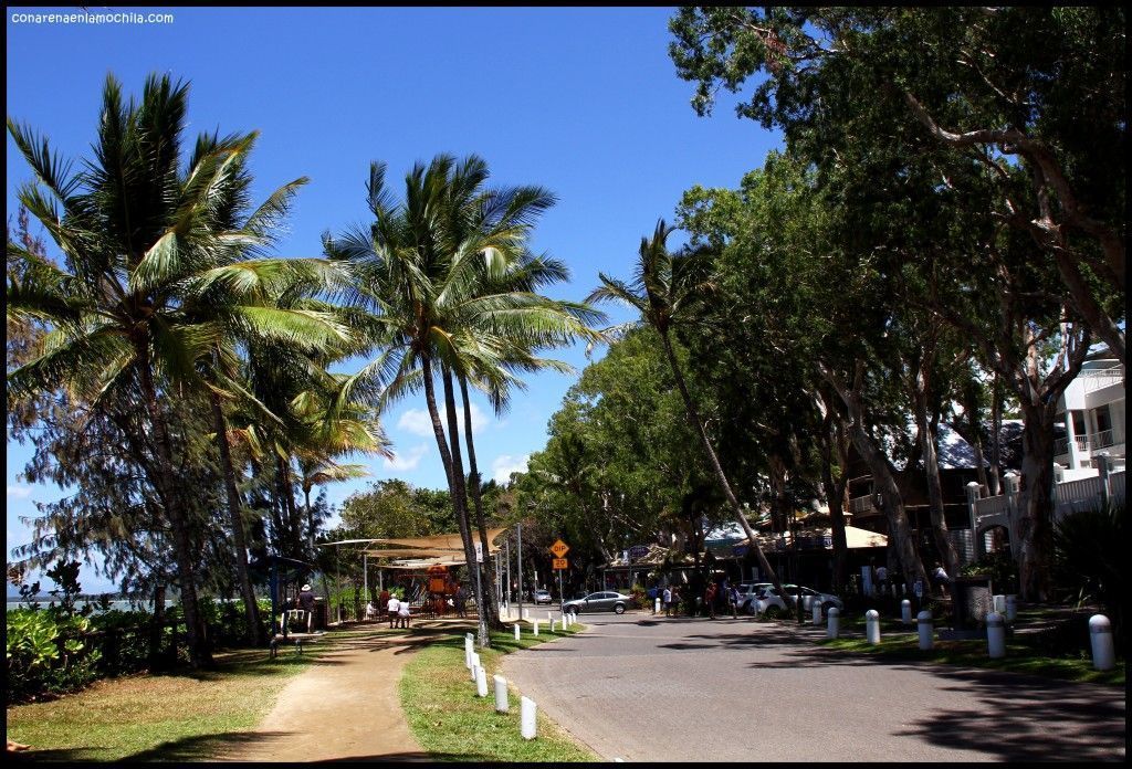 Palm Cove Australia