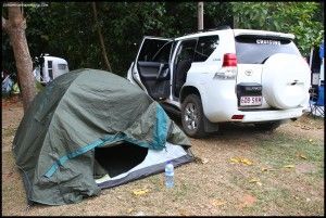 Cape Tribulation camping Daintree Australia