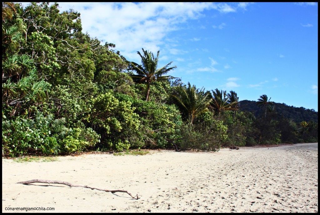 Myall Beach Daintree Australia