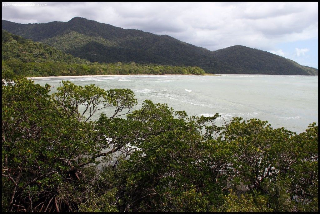 Cape Tribulation Daintree National Park Australia