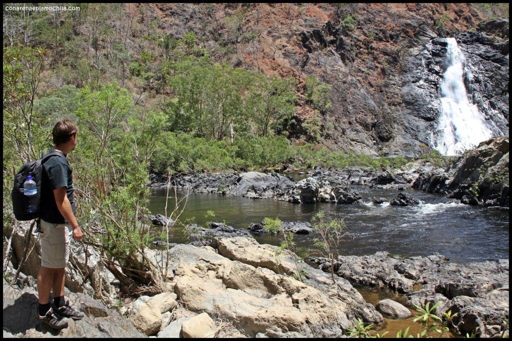 Bloomfield Track Wujal Wujal Australia