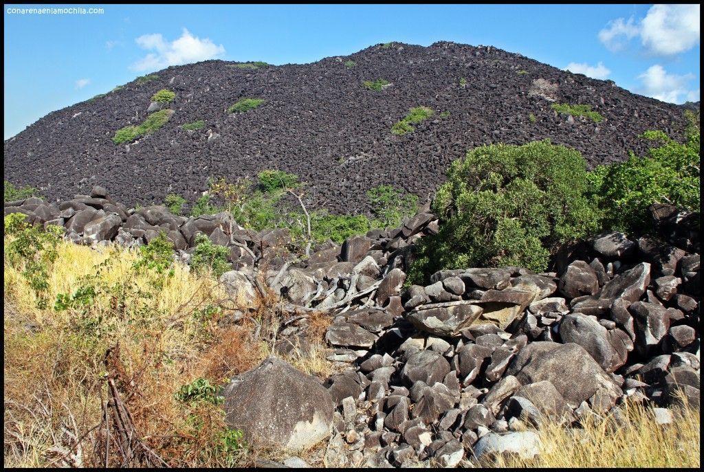 Black Mountain National Park Australia