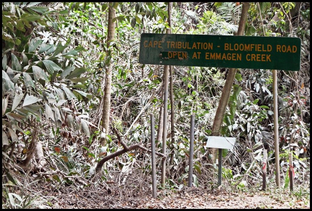 Bloomfield Track Australia