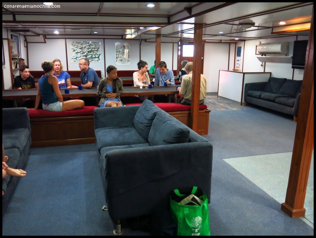 Taka Liveaboard Great Barrier Reef Cairns Australia