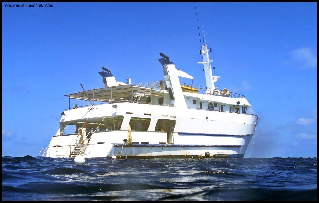 Taka Liveaboard Great Barrier Reef Australia