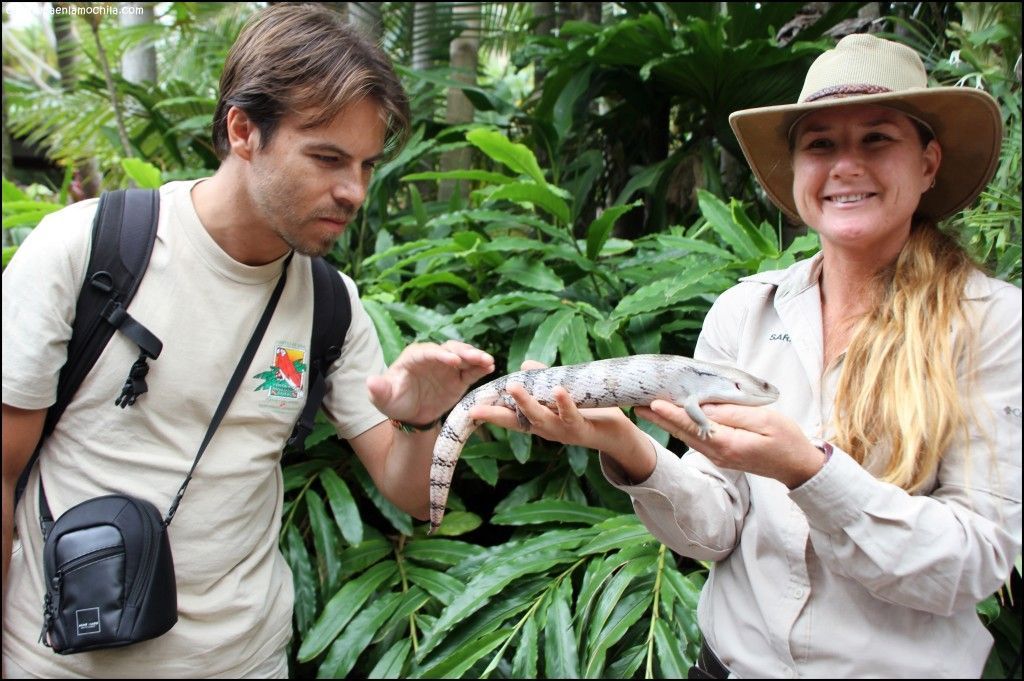 Australia Zoo Beerwah Australia