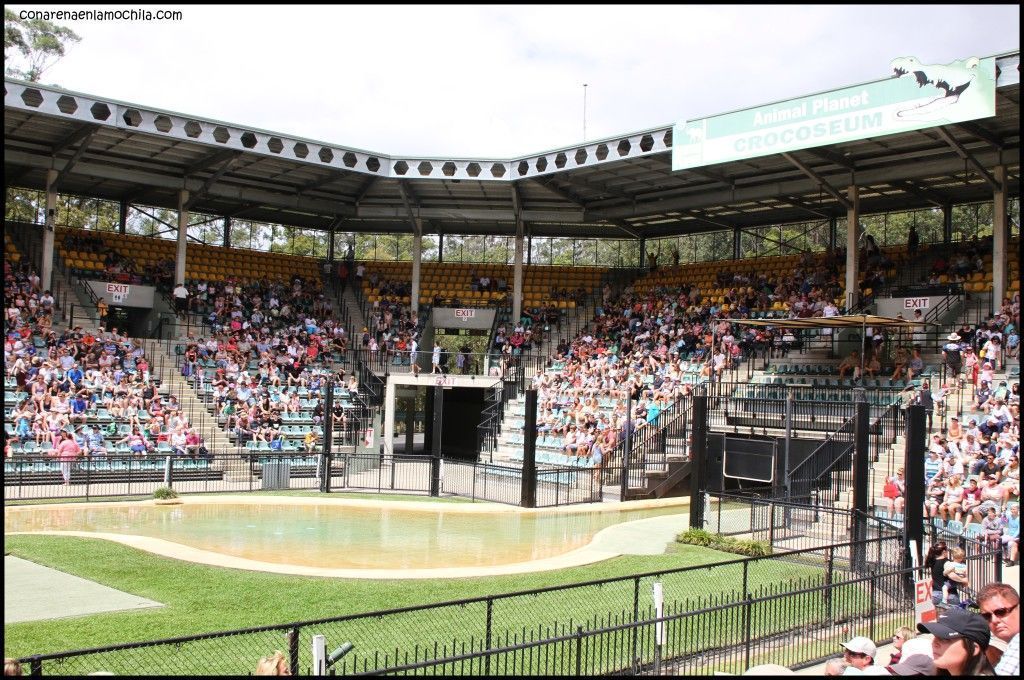 Australia Zoo Beerwah Australia