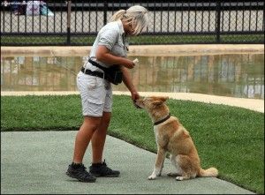 Australia Zoo Beerwah Australia