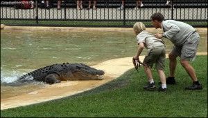 Australia Zoo Beerwah Australia