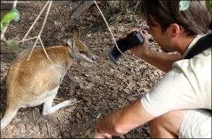 Australia Zoo Beerwah Australia