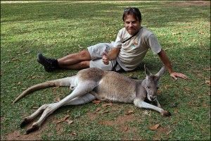 Australia Zoo Beerwah Australia