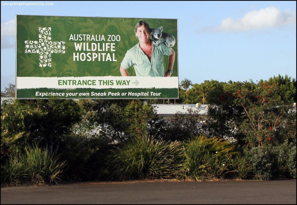 Australia Zoo Beerwah Australia