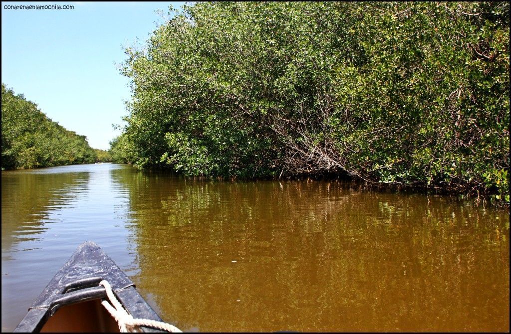 Everglades National Park Flori